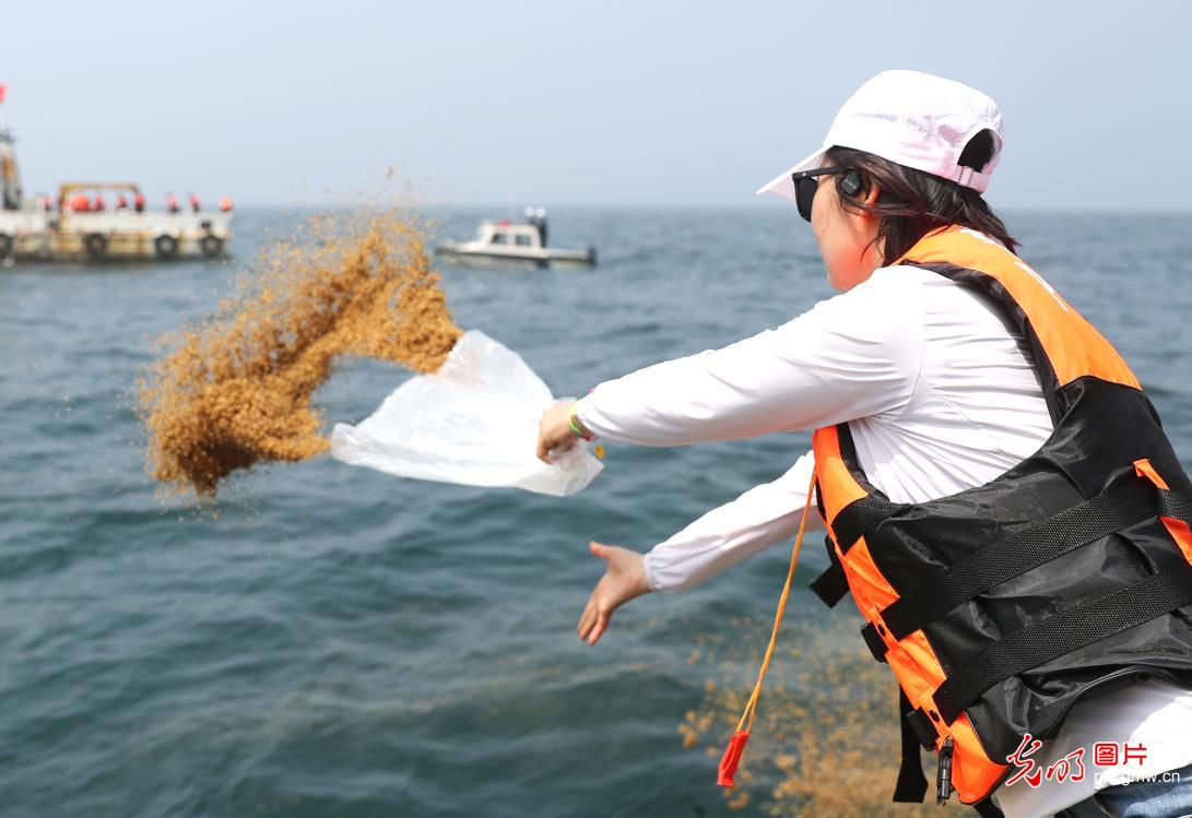 青島 7000多萬單位魚蝦增殖，打造堅實“海上糧倉”